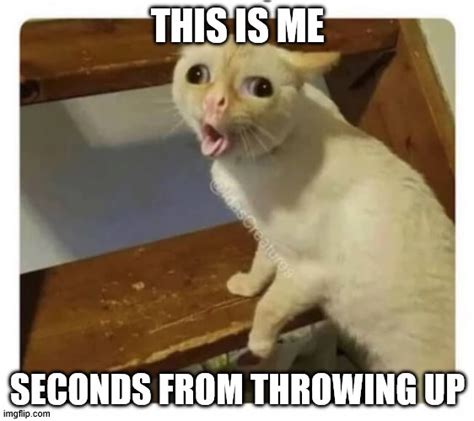 cat cough meme|cat throwing up memes.